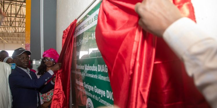 Inauguration de la chambre froide de 15 000 tonnes de SWAMI AGRI : Un pas de géant vers la souveraineté alimentaire du Sénégal Inauguration de la chambre froide de 15 000 tonnes de SWAMI AGRI : Un pas de géant vers la souveraineté alimentaire du Sénégal
