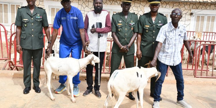 Tabaski : L’armée offre des moutons aux militaires invalides, aux veuves et familles de militaires décédés Tabaski : L’armée offre des moutons aux militaires invalides, aux veuves et familles de militaires décédés