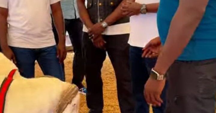 Tabaski : Le Président Diomaye Faye achète deux moutons à des prix …(Vidéo) Tabaski : Le Président Diomaye Faye achète deux moutons à des prix …(Vidéo)