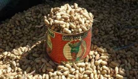 CAMPAGNE ARACHIDIÈRE : LES PRODUCTEURS RÉCLAMENT ENTRE 350 ET 500 FCFA/KG AVANT L’OUVERTURE DE LA COMMERCIALISATION CAMPAGNE ARACHIDIÈRE : LES PRODUCTEURS RÉCLAMENT ENTRE 350 ET 500 FCFA/KG AVANT L’OUVERTURE DE LA COMMERCIALISATION