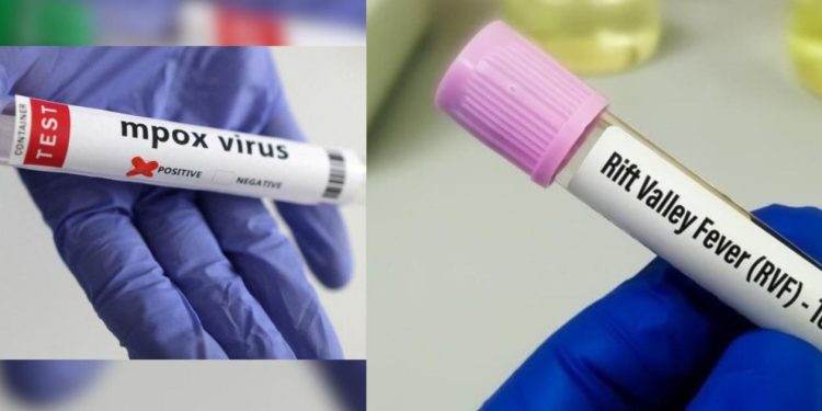 Epidémies de la fièvre de la vallée du Rift et de Mpox : Le ministère de la Santé fait le point