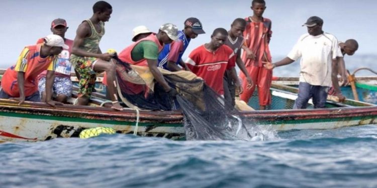 Journée mondiale de la pêche : L’UNAPAS sonne l’alerte et exige la fin du chalutage de fond au Sénégal