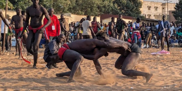PRÉSIDENCE DE LA FÉDÉRATION SÉNÉGALAISE DE LUTTE : ONZE CANDIDATS DÉCLARÉS, UNE SEULE FEMME EN LICE