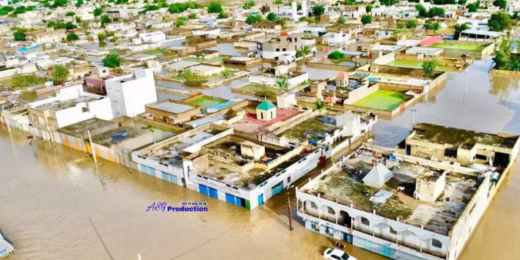 Inondations à Touba : l&rsquo;État est averti, il faut investir 93 milliards F CFA une fois ou perdre…