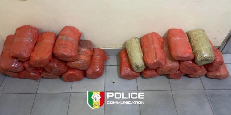 Fatick : Une importante quantité de chanvre indien saisie à Sirmang par la BRS